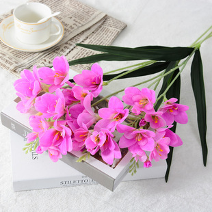 �ٻ�3D�zƬ��ѩ�m ��֦2���n�m ���滨���~�ָлݻ���c�ҾӲ廨