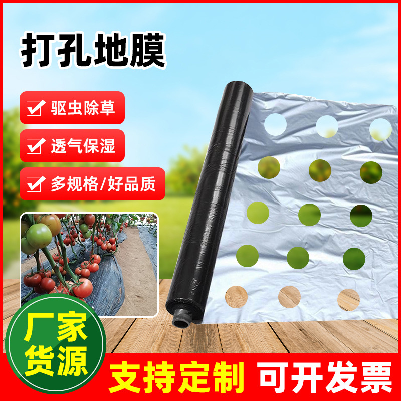 跨境出口LDPE黑色防草透气保湿打孔农用地膜生产各种孔径孔距地膜