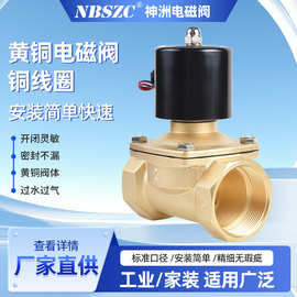 NBSZC  神洲厂家供应电磁阀  2W-50 黄铜2寸电磁阀