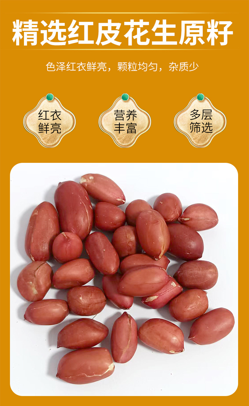 Roasted Red Skin Peanuts Hong Yi Hua Sheng 四粒红 Bulk Kernels for Grinding Snacking and Cooking 500g specifications