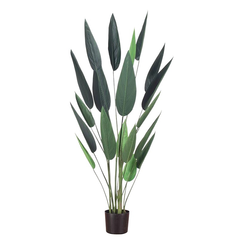 Simulación pájaro del paraíso skybird agua belleza falsa planta verde canna árbol en maceta sala de estar nórdica viajero árbol de plátano