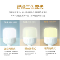 led燈泡 三色變光無頻閃球泡 E27螺口 家用光源