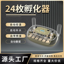 新品24枚大脸猫 小鸡孵化器 家禽芦丁鸡蛋孵蛋器孵化设备孵化机