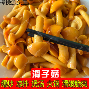 ���ӹ����r�ڸл�������Ģ���鹽С�SĢ��ˮ���r�b�̳�����ɰ�