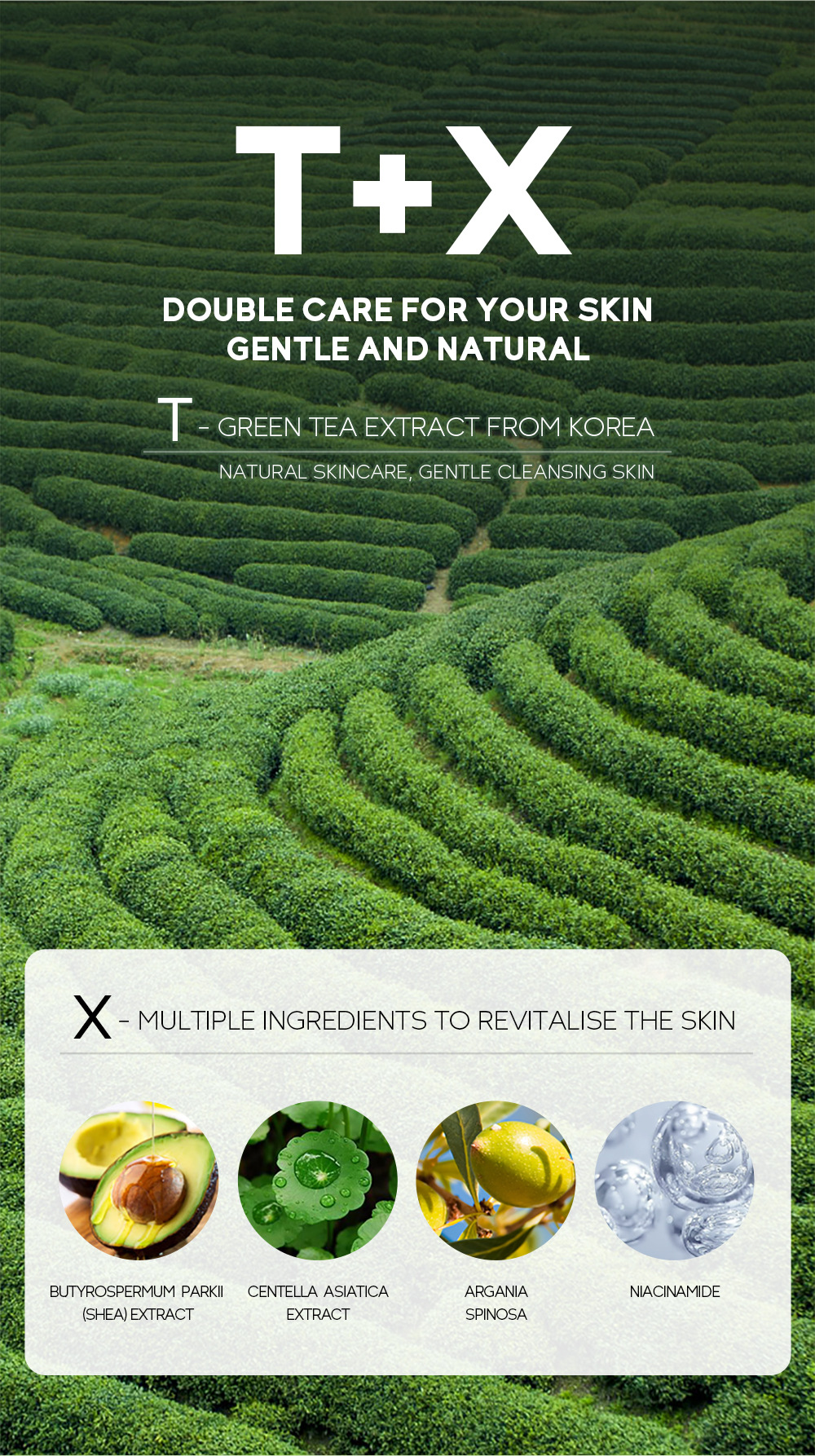 Wholesale of cross-border Fenyi Green Tea Mask Solid Stick Application Type mud Film for hydrating and cleansing, 40g in stock from the manufacturer undefined