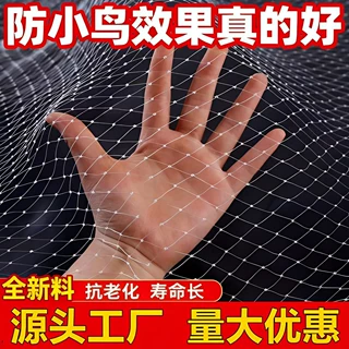 尼龙全新抗老化果园大棚防鸟网草莓樱桃树葡萄鱼塘天网尼龙防鸟网