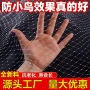 天网果园抗老化全新防鸟网