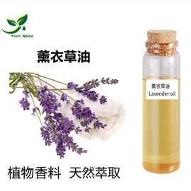 报送码 薰衣草油 薰衣草水蒸馏工艺提取所得 单方精油薰衣草精油