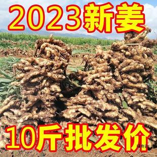 �F�ڬF�l��ϸ�ɽС�S������ʳ���r���ԷN���н�һ�����l