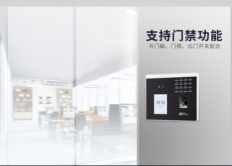 详情-09.jpg?x-oss-process=image/format,png