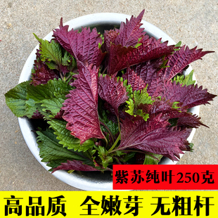 Select Fresh Whole-Leaf Perilla Leaves from Farmers Without Long Stems, Edible Spices, Vegetables, Fish, Shrimps, Crabs and Bullfrogs to Remove Fishy Smell