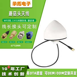 GPS+北斗+WiFi2.4/5.8G机柜天线锥形基站卫星定位小蘑菇头信号