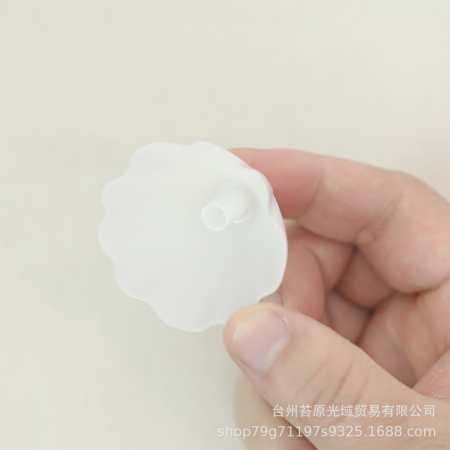 蘑菇一9.JPG.jpg