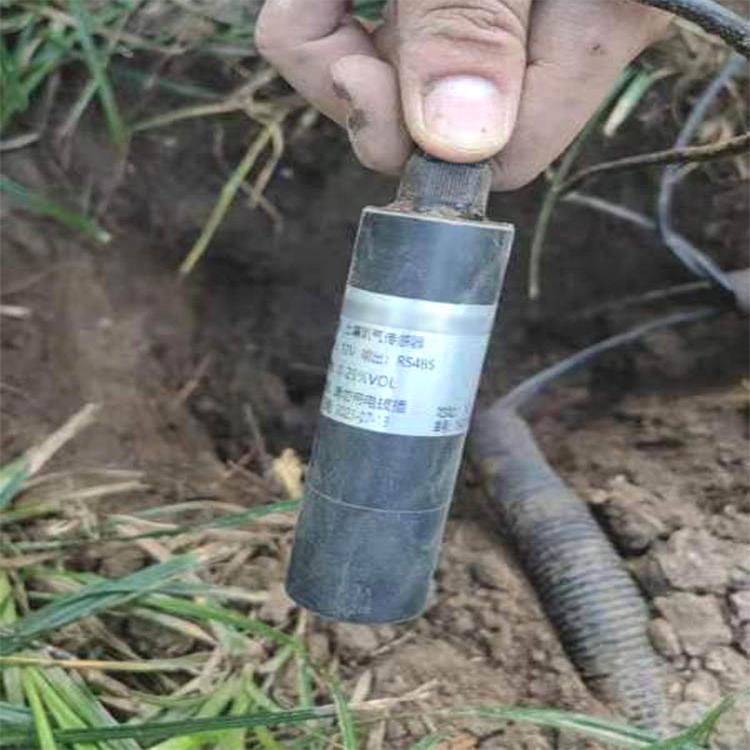 价格可谈 土壤含氧量传感器（中西器材） 型号:YK22-BSK-100