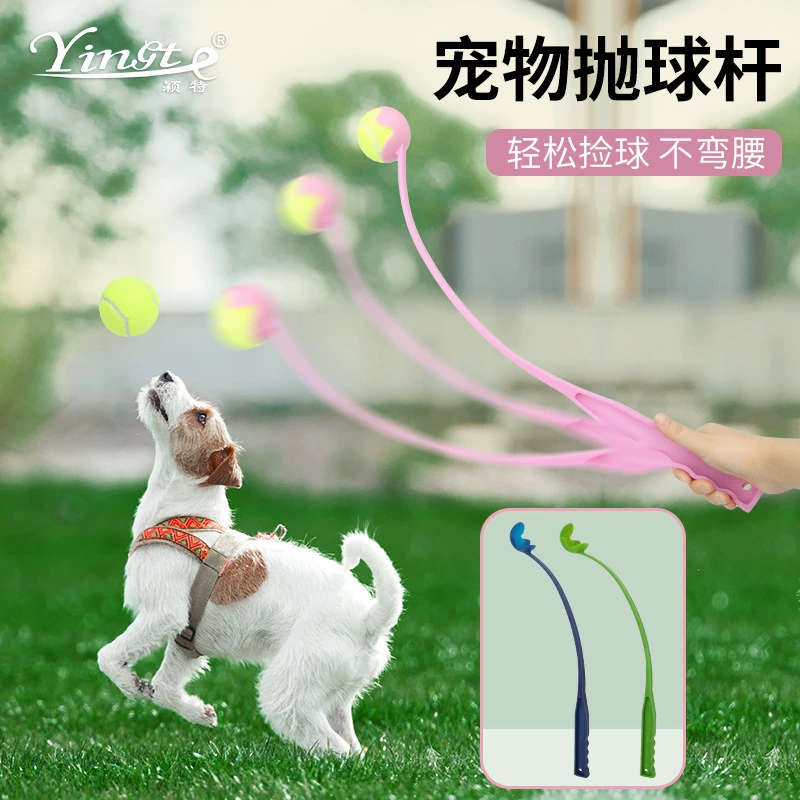 Поставки для домашних животных Бросок клюшки Наружная тренировка по теннису дразнит собаку, бросая игрушки, бросая мяч