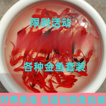 ���~���\��С���~���^�p�~�ͻˮ����~������B���B��ؔ��ˮ