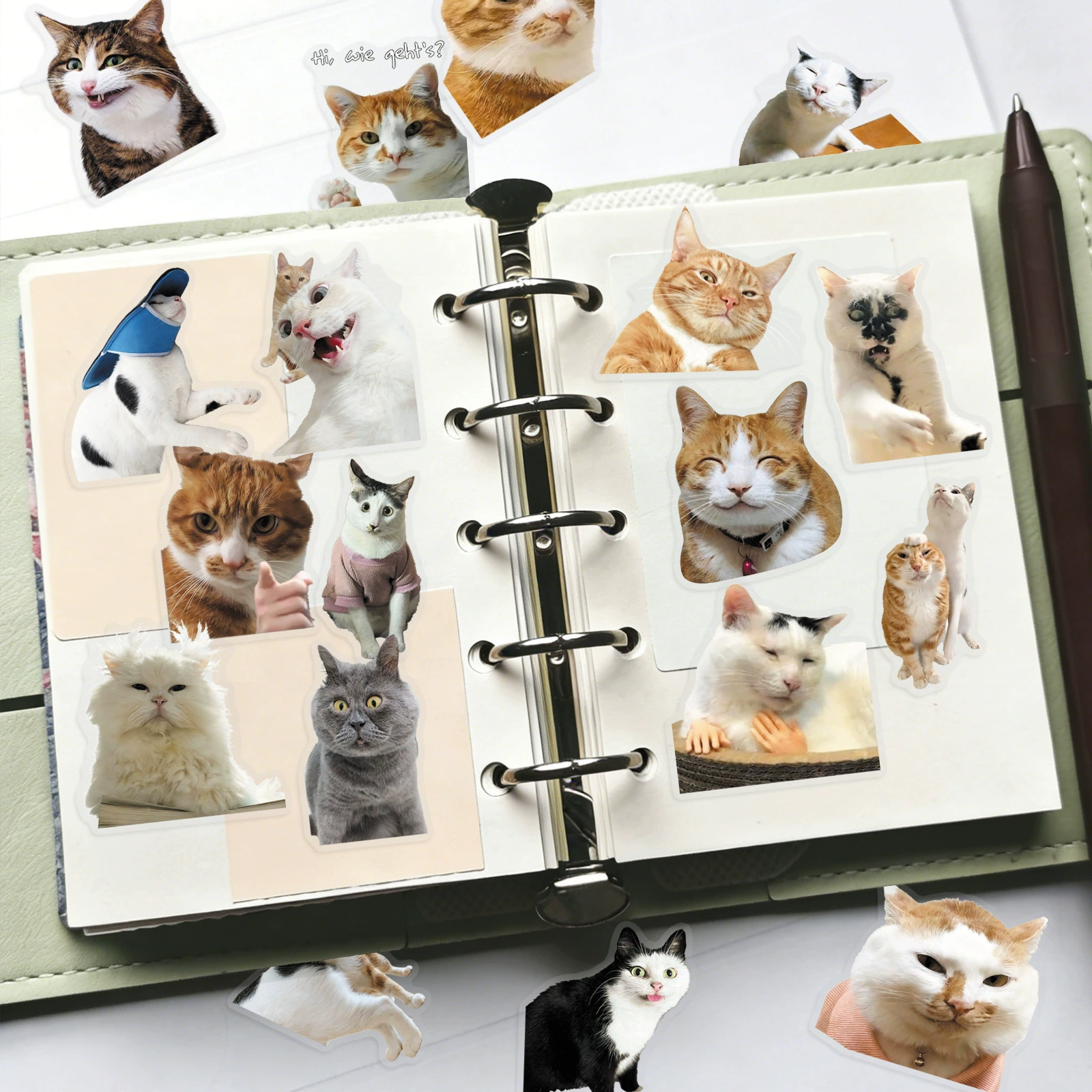 50 pieces of Hakimi animal PET transparent stickers realistic and creative cat expression bag storage box Guka DIY stickers