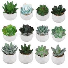 订制办公室迷你仿真多肉盆栽亚马逊仿真植物创意钻石形陶瓷盆多肉