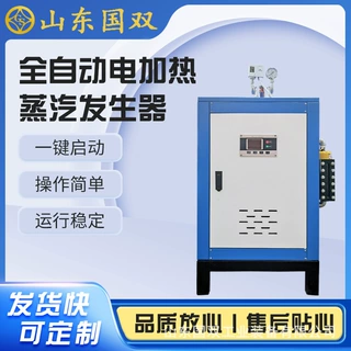 36KW电加热蒸汽发生器 蒸煮杀菌蒸馒头用蒸汽锅炉