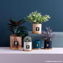 WʽմɈA躆sˇԁRdбPG}辰Gֲ