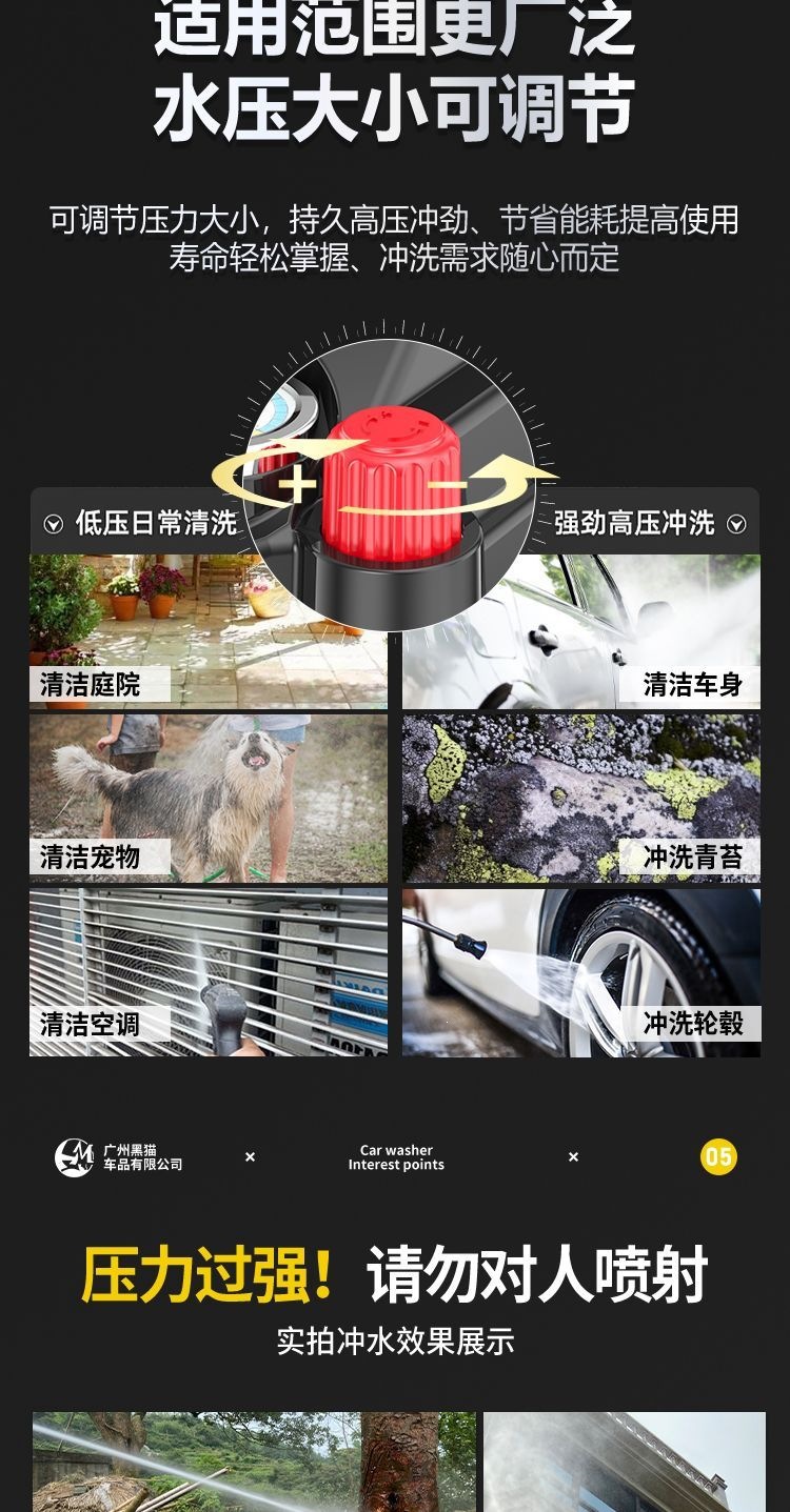 Julong Black Cat Pressure Washer 220V Household High-Power Automatic Adjustable Pressure Car Washer