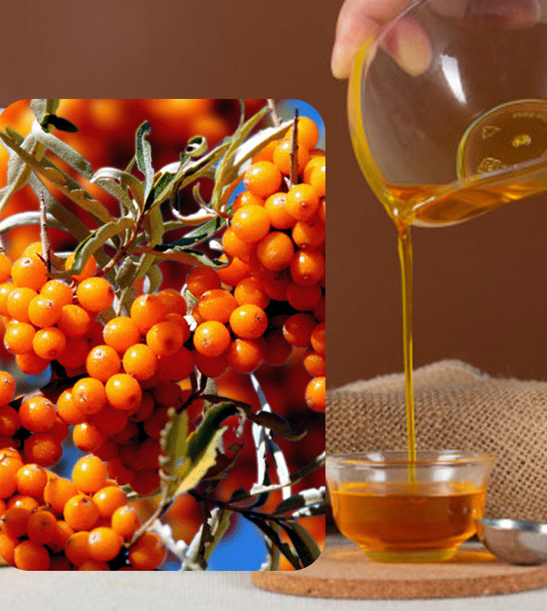 Sea Buckthorn Seed Oil Shaji Zi You Pure Herbal Oil for Wellness and Skin Care 1kg overview