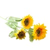 Realistic layout solar-powered, props, sunflower, wholesale