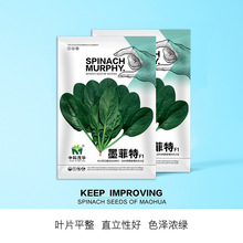 пïA߲˷NA~Խīز˷N