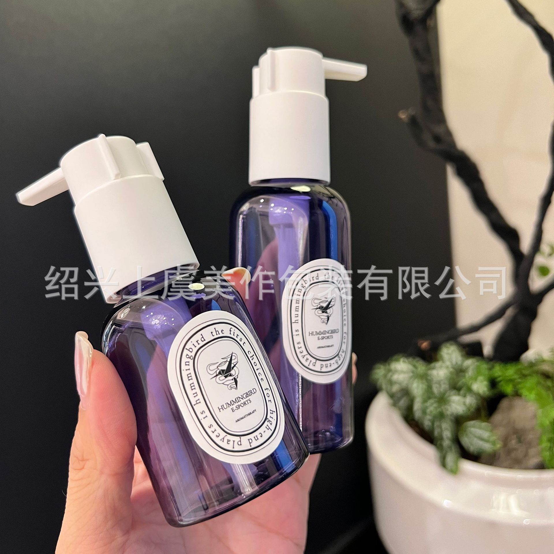 微信图片_20240822135315