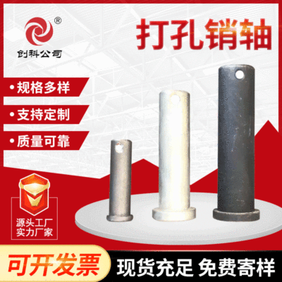 Manufactor Direct Punch holes Pin goods in stock National standard be translucent Pin machining customized Flat head Perforated Pin