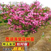 ͺļĻĻͥԺֲ̨ﴹzĘ