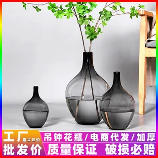 包邮玻璃花瓶植物高级感摆件落地水培吊钟马醉木网红客厅轻奢ins