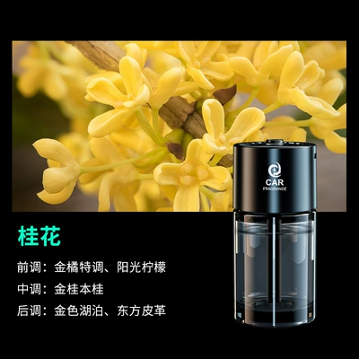 Removal Intelligent Spray Humidifier – Hava təmizləyiciləri - plug-in-aromatherapy-machine-pearwood-osmanthus-with-five-adjustable-levels