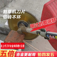 ��ݙC��ƬС�ͼ�������늄�40�X�A�κϽ��Ƭ��ݳ��ݙC�����ȫ