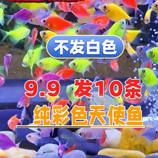 ��ʹ�^�p�~�Ꭷ��ˮ�^�p�~Ⱥ�β���ɫ�߲������~���R��ȸ�~�ɻ��B