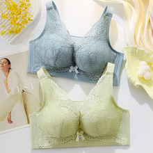 2024�¿�o�şo�Ȧ����ѩɏ����׃�ٽzĨ�ط��߹�۔n���´�����