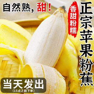 �V�������O�����㽶���r��Ȼ�쮔��С�װŽ��㽹����ˮ���۽����]