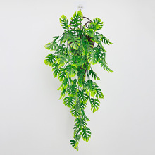 ����Gֲ69Ŀ�����~�ٗl���R�d����ֲ����m�G�~�����Ҿ��bڒ�