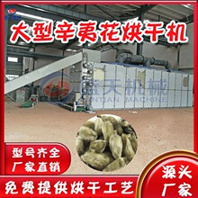 网带式辛夷花烘干机 全自动紫玉兰望春花烘干设备 辛夷除湿干燥机