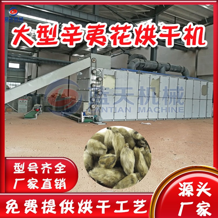 网带式辛夷花烘干机 全自动紫玉兰望春花烘干设备 辛夷除湿干燥机