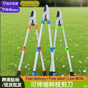 ��ƺ�����仨�@��֦�����@ˇ�����G���@�ֹ�����s�h����֦����