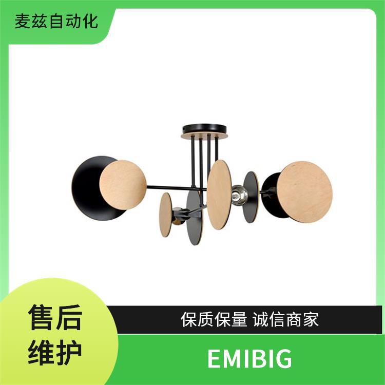 1431/6 EMIBIG Lighting 天花板和灯具 地灯 1143/K1
