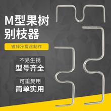 新嫁接的板栗树能拉枝吗 新栽板栗园拉枝怎么拉