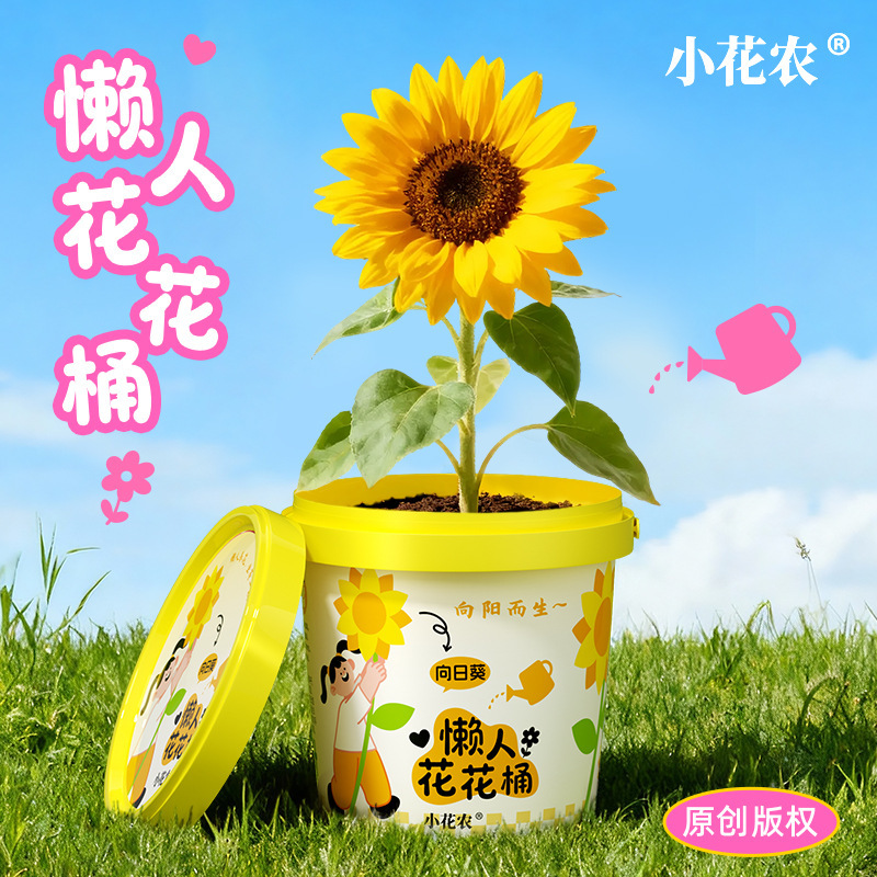Lazy Flower Bucket Children's Planting Pot Sunflower Morning Glory Desktop Green Plant Creative Flower Blind Box Toy