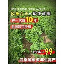 ϻޣNӶļBֳݷNι~Zţɲ_ݷN