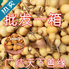 ���J�؃r����������С���J��Ʒ���lС���ְѼ���Ȼ���J�������