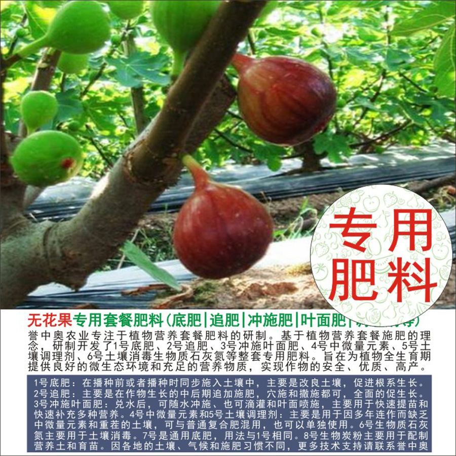 50�����а��޻���ר���л��ʸ��Ϸʵ׷�׷��Ҷ��ʳ�ʩ��ˮ�ܷ�