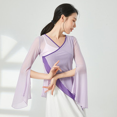Classical dance tops, women's practice clothes, contrasting colors, elegant and fairy-like dance performance clothes, Chinese dance dance performance clothes
