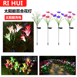 �羳̫��ܷ��滨4�^�ٺϻ����������ͥԺ�ز��ƺ�����^�b�D