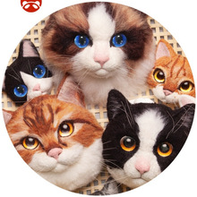 ��ë��؈����������ϰ�؈��o��Ʒ��ë�̵ֽ̳���